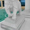 忻州 白麻花岗岩动物异形石雕-大象