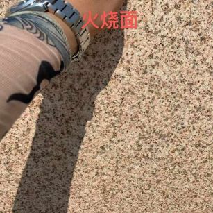 忻州黄金麻火烧面