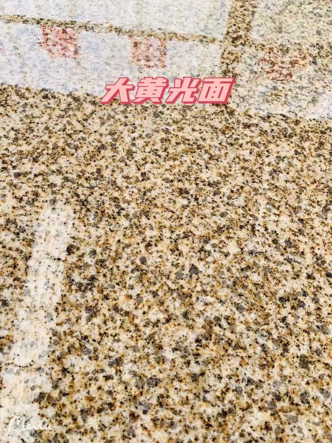 忻州黄金麻大黄光面
