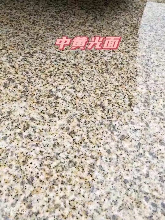 忻州黄金麻中黄光面