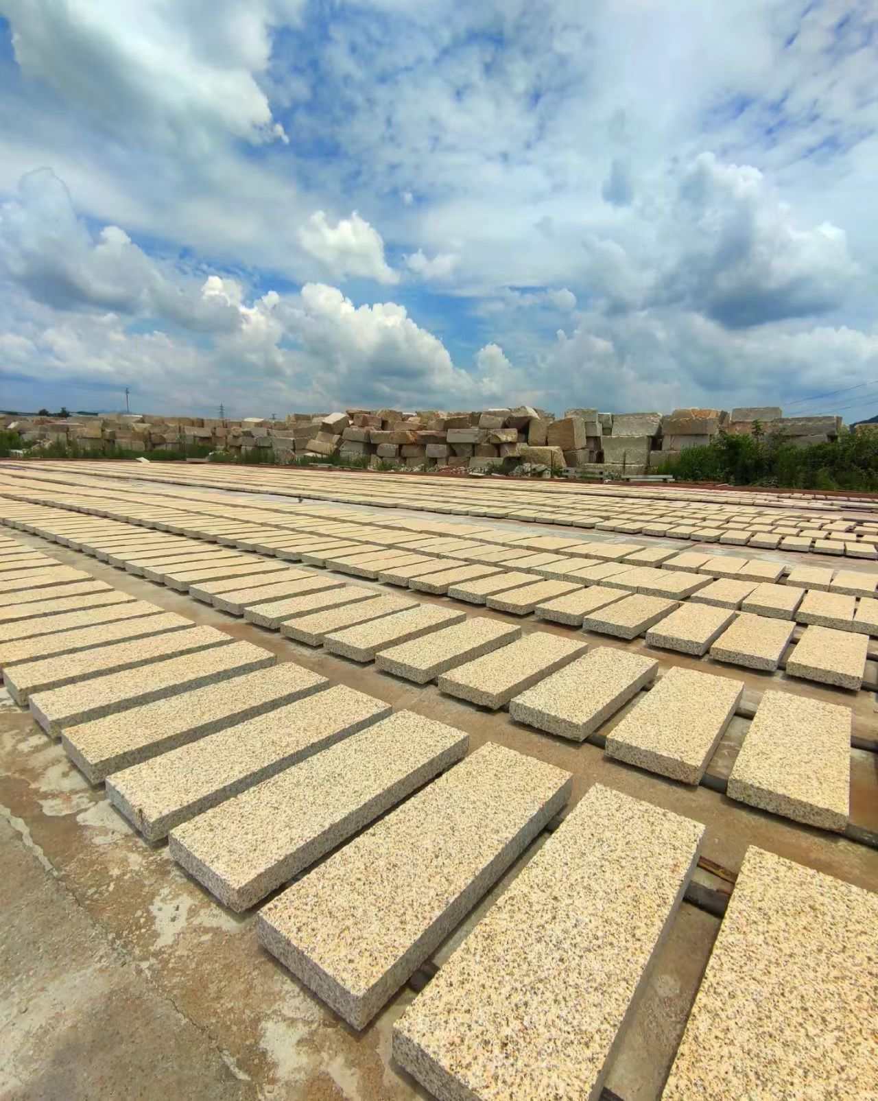 忻州 黄金麻花岗岩荔枝面地铺石防护中